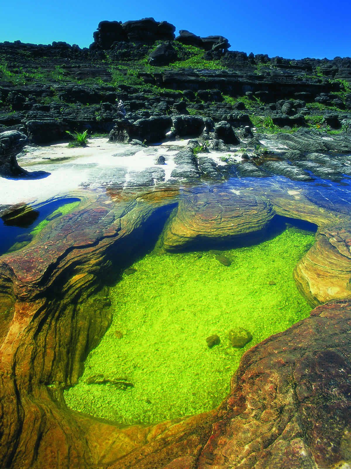 RORAIMA